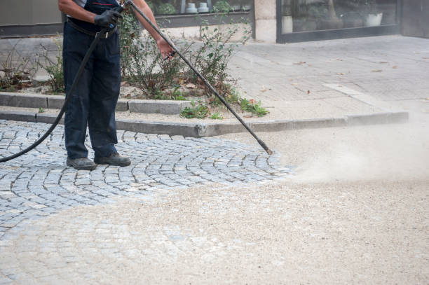 Best Gutter Cleaning  in Blue Point, NY